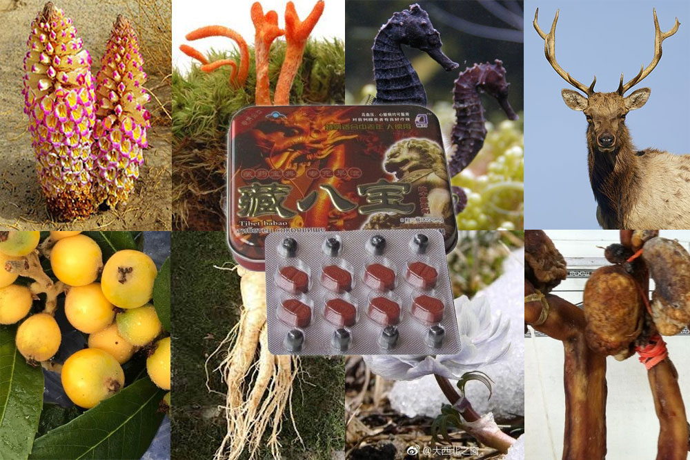 Tạng Bát Bửu Rồng Đỏ Tibet Babao - Tăng cường cương dương