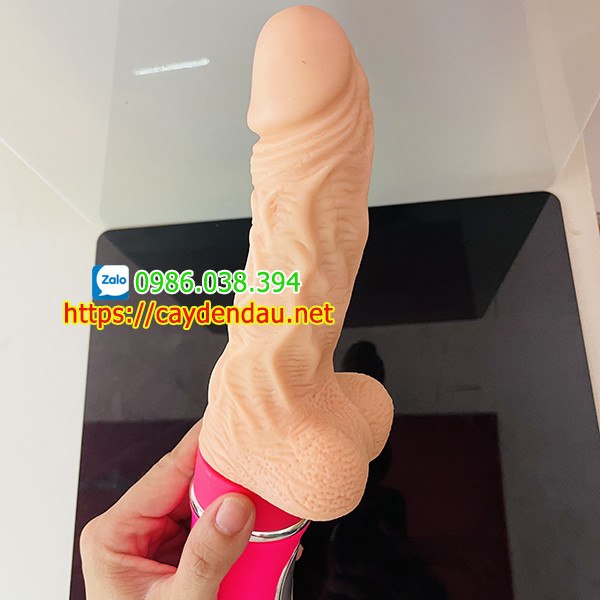 Duong Vat Gia Ailighter 5