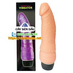 Dương vật giả 2 pin cong Shaki kích thích điểm G thật phê