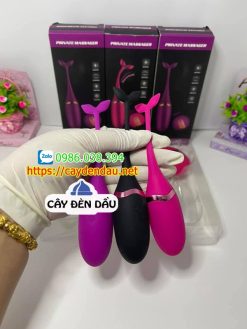 Trứng rung điều khiển từ xa cá heo cao cấp Private Massager