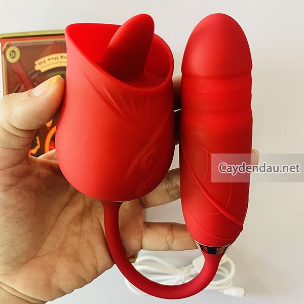 Trung Rung Hoa Hong 2 Dau 1