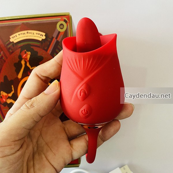 Trung Rung Hoa Hong 2 Dau 2